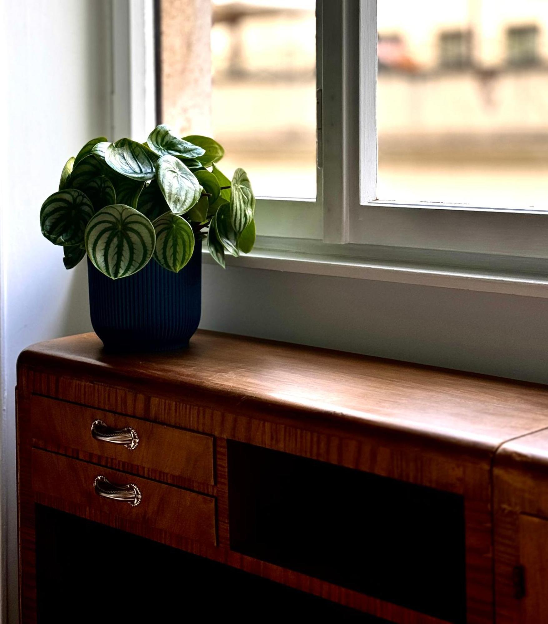 Flaminio Blues, Cozy Flat Near Piazza Del Popolo Roma